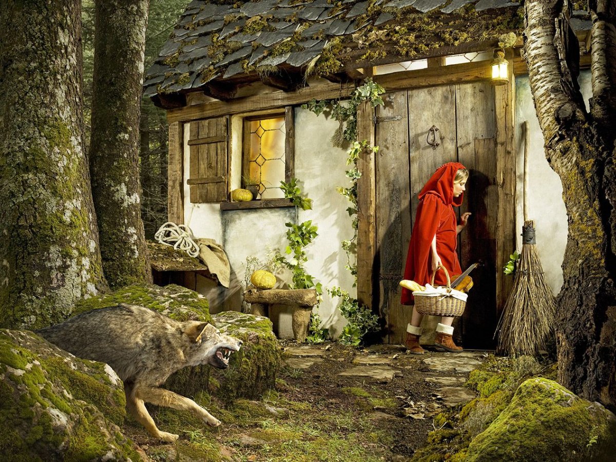 Домик в лесу красной шапочки