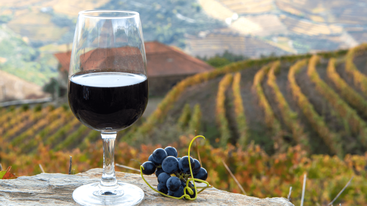 Херес Порто Мадера