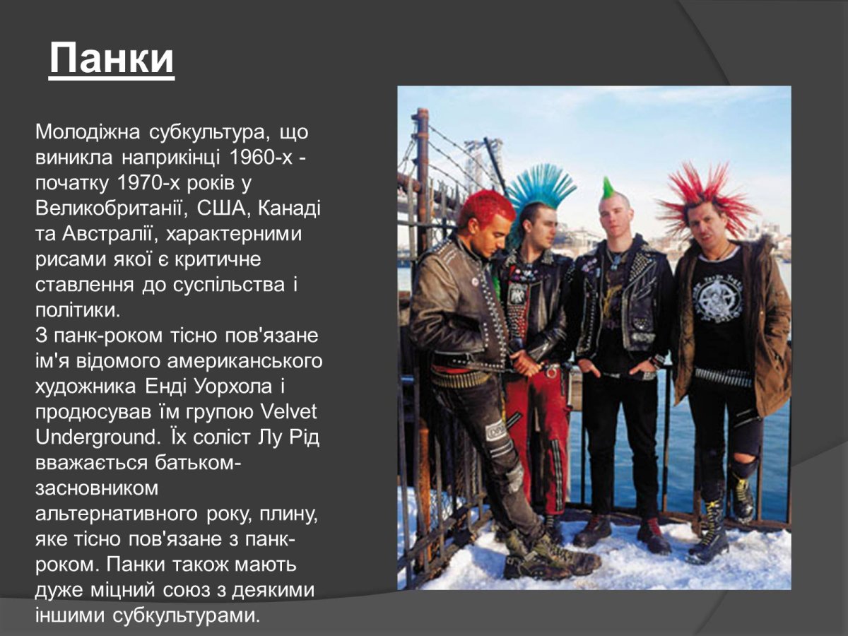 Панки Молодежная субкультура