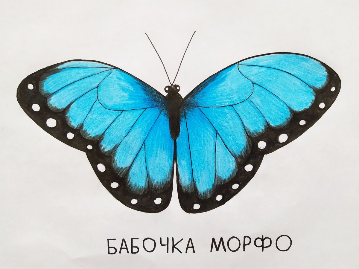 Моль иконка