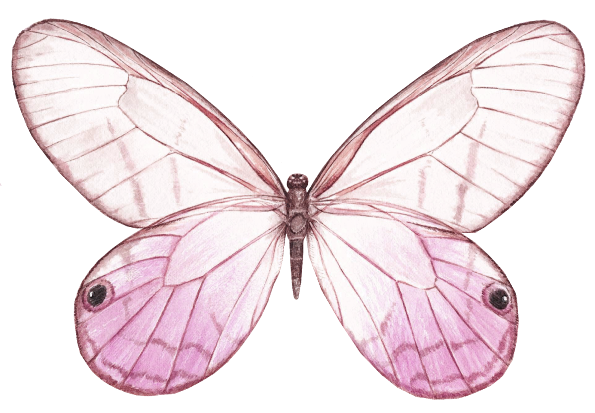 Насекомые для детей