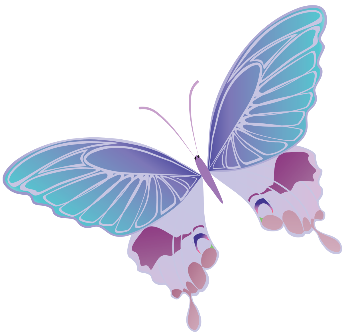 Бабочки мультяшные