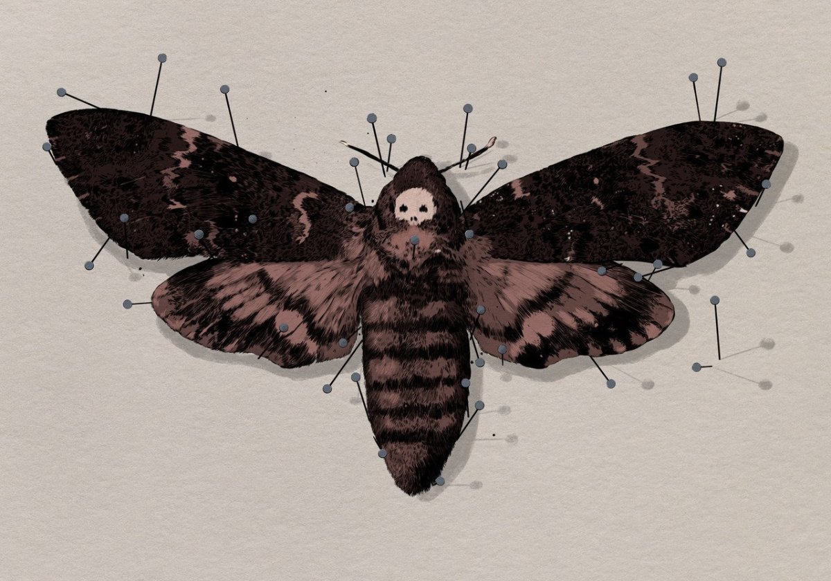 Метаморфоза детские рисунки