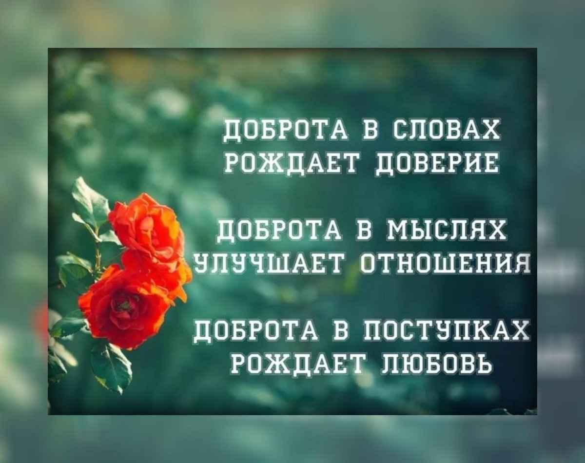 О смысле жизни