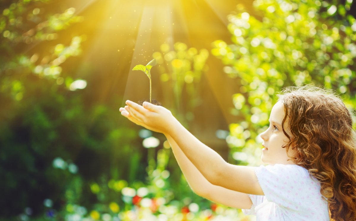 Солнышко для рисования для детей