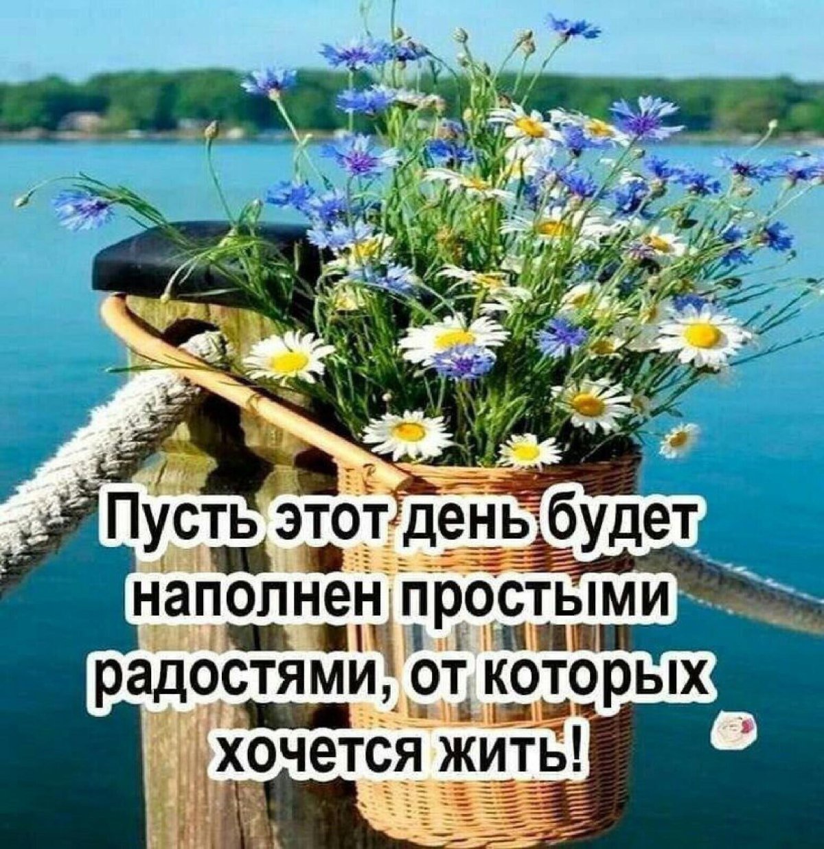 Позитивного дня и хорошего настроения