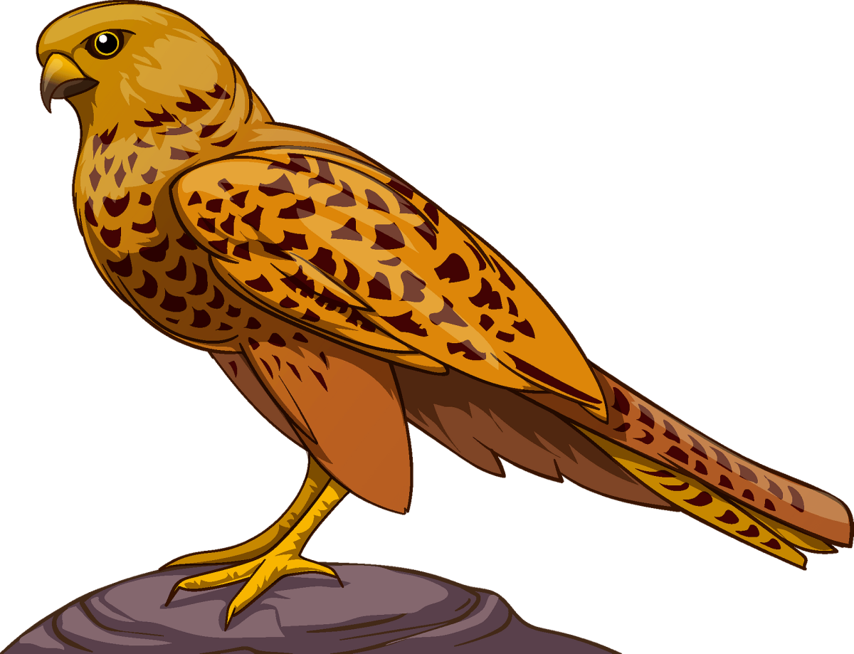 Соколы мультяшные