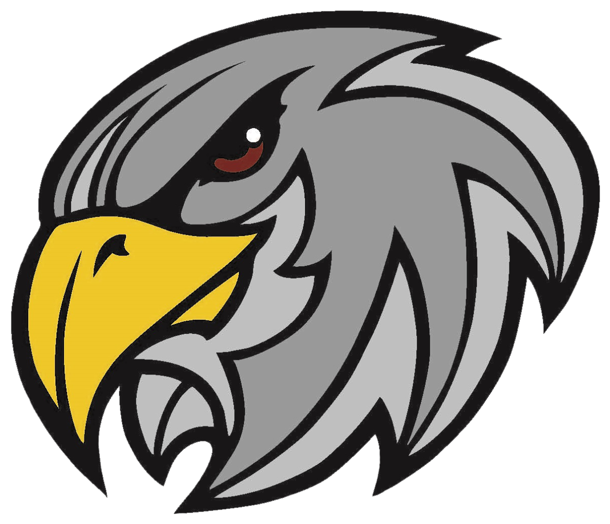 Логотип команды Сокол