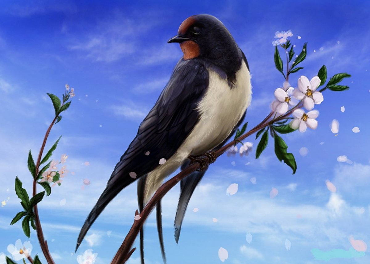 Синичка для детей