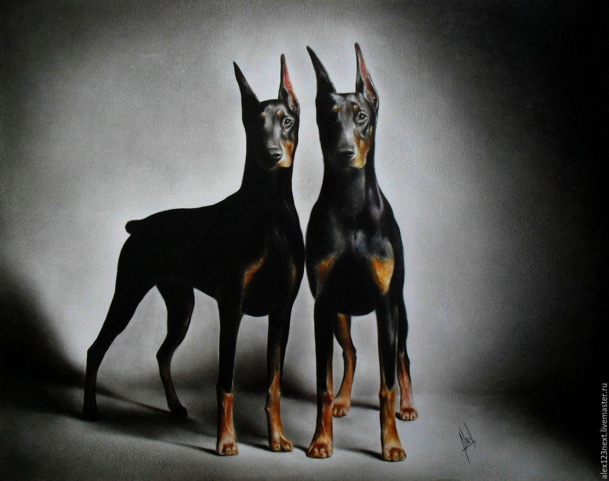 Катрина Доберман