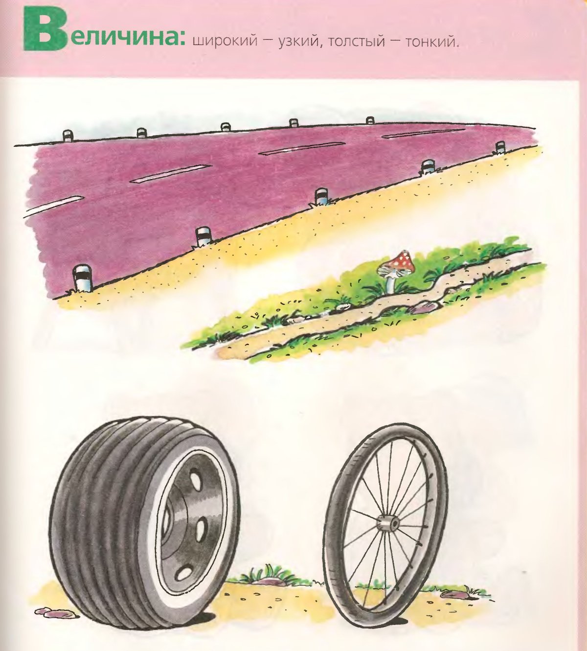 Широкий узкий для дошкольников