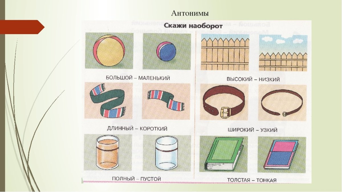 Длинные и короткие предметы