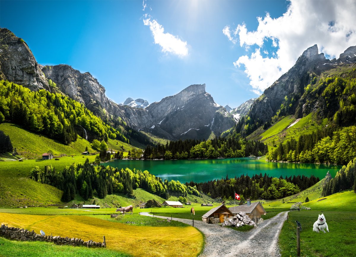 Озеро Зееальп, Швейцария