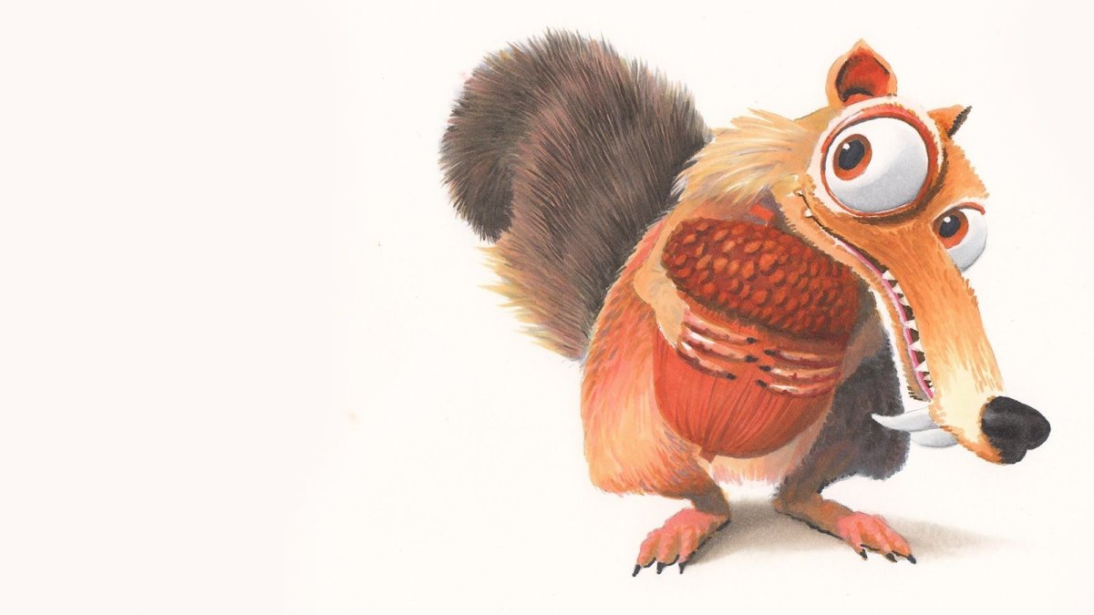 Недовольная белка