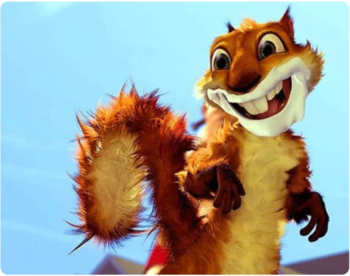 Орущая белка