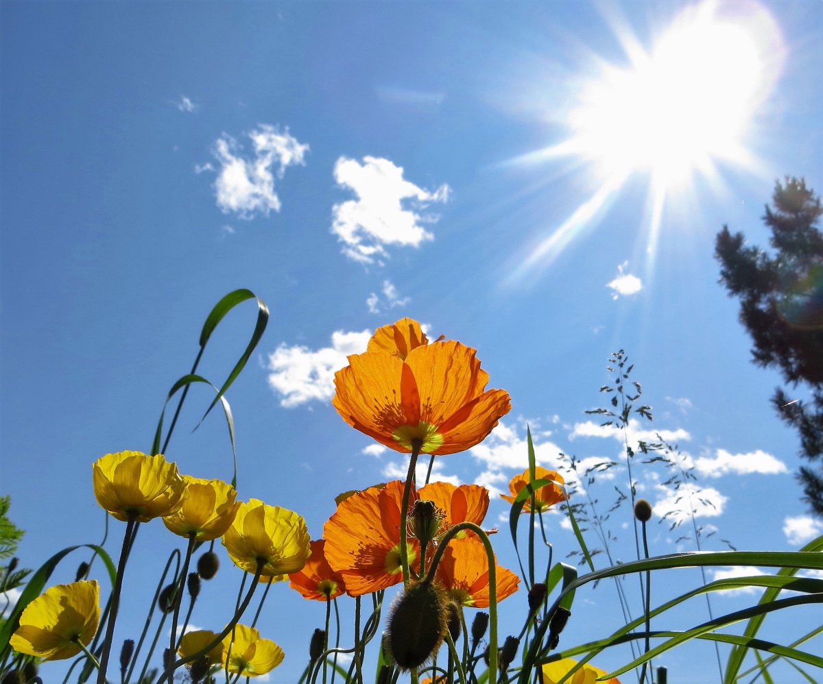 Красивый Солнечный день