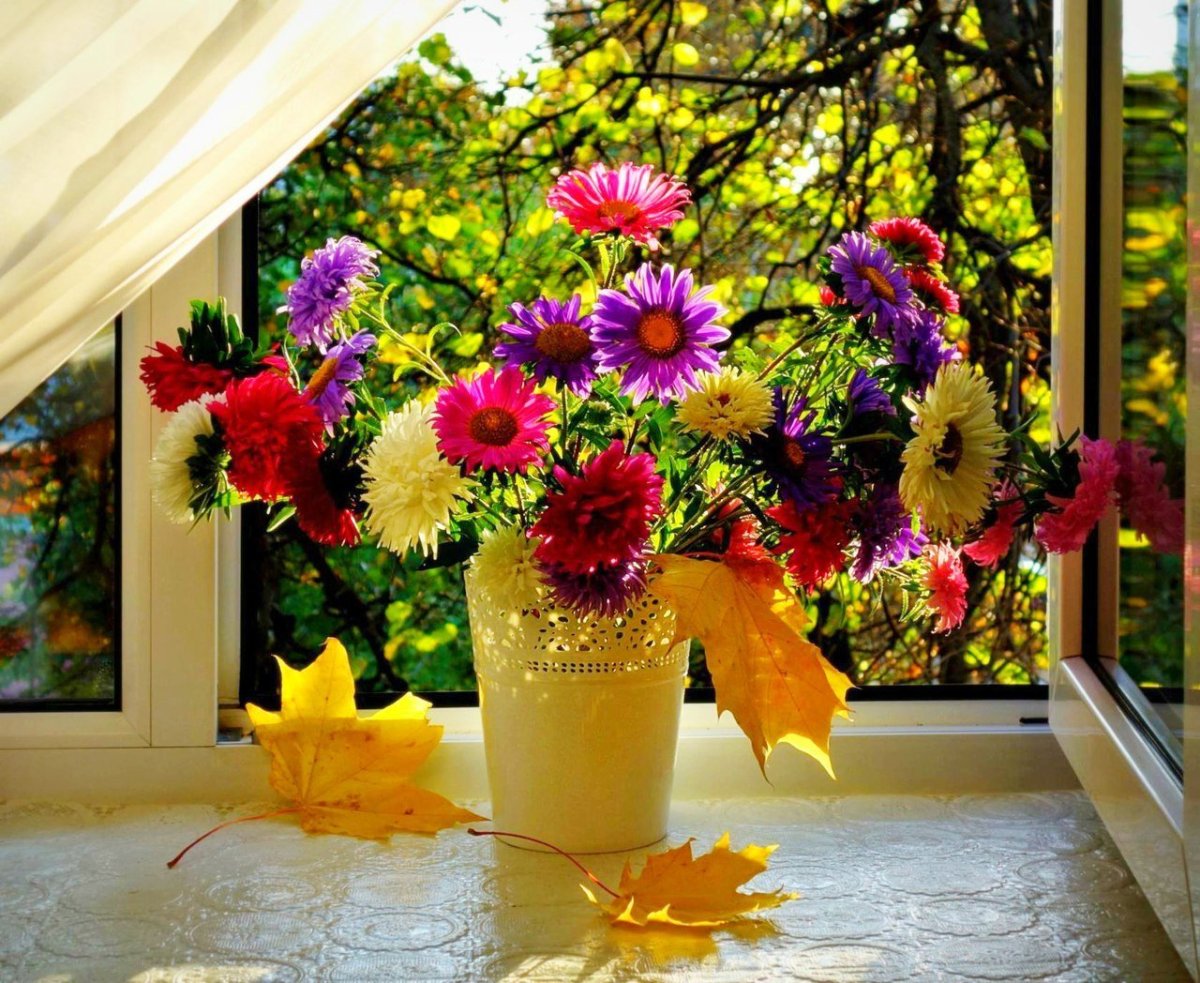 Цветущий луг