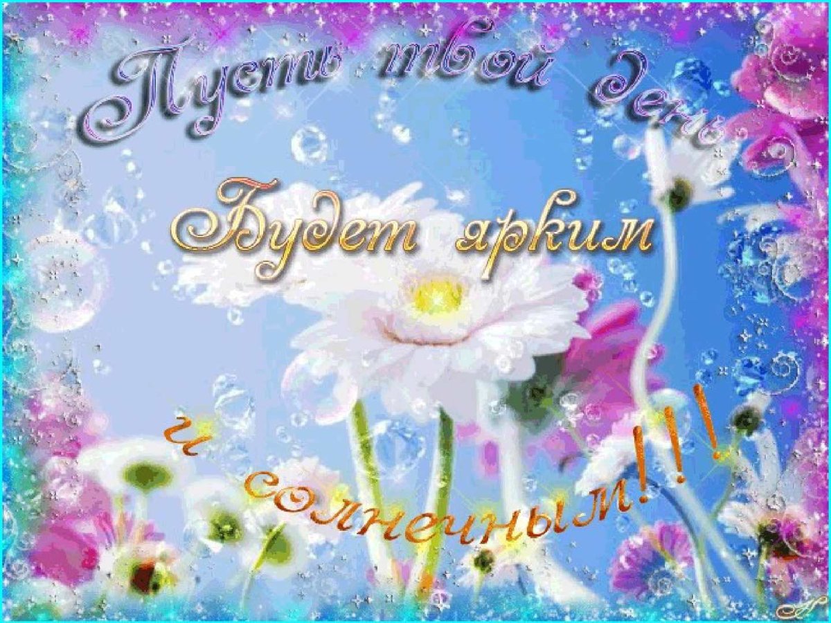 Солнечного настроения ромашки