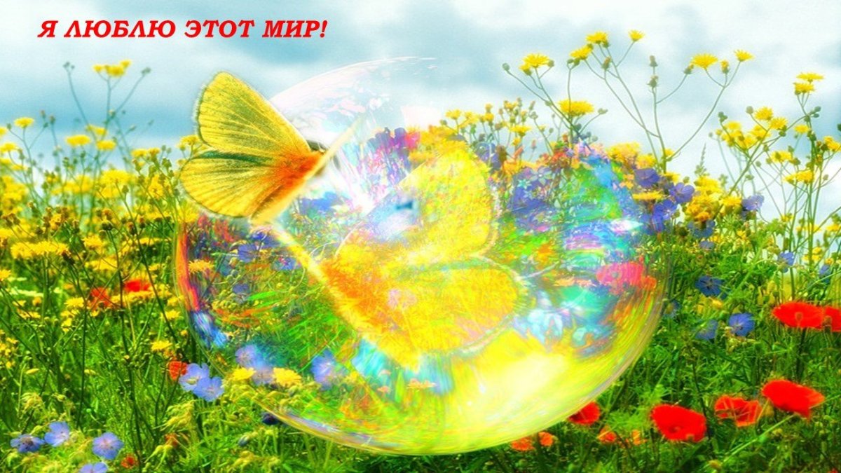 Доброе солнечное утро