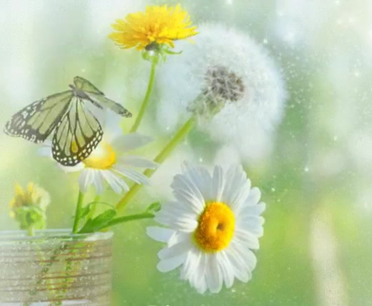 Открытки чудесного солнечного дня