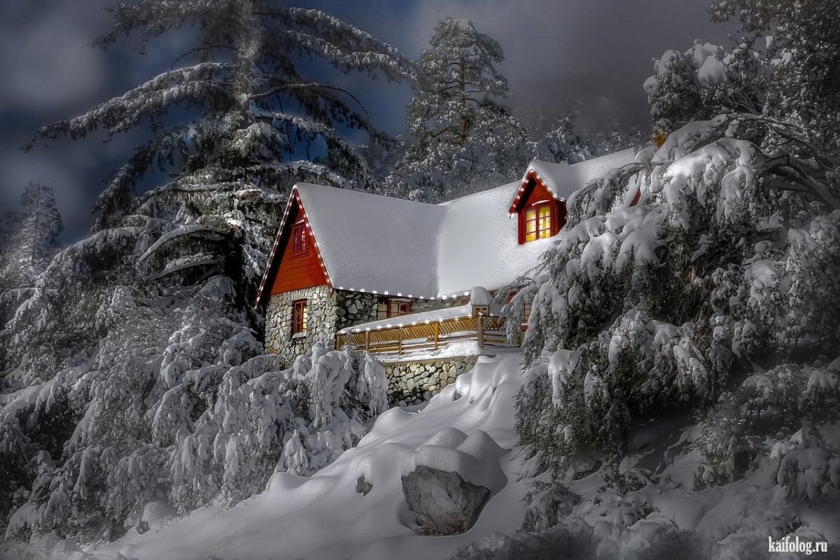 Зимний лес в деревне