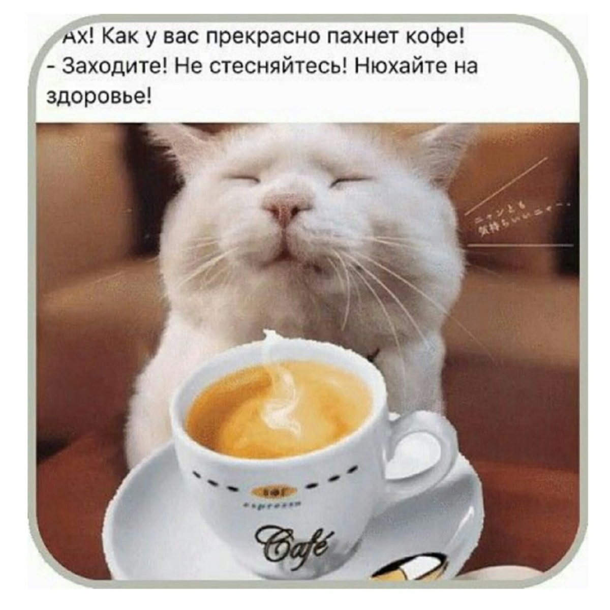 Доброе утро зевает