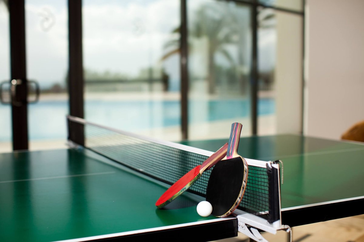 Newton Arena настольный теннис