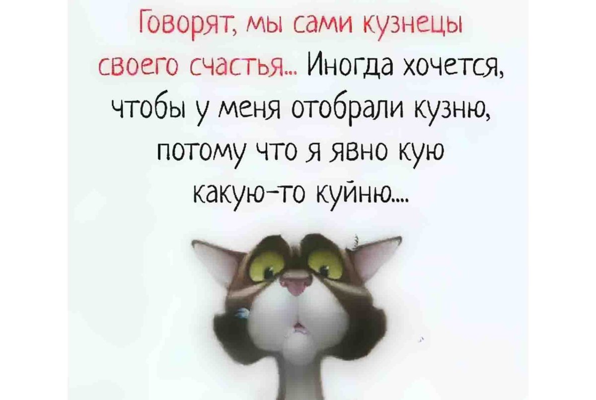 Прикольные статусы в картинках