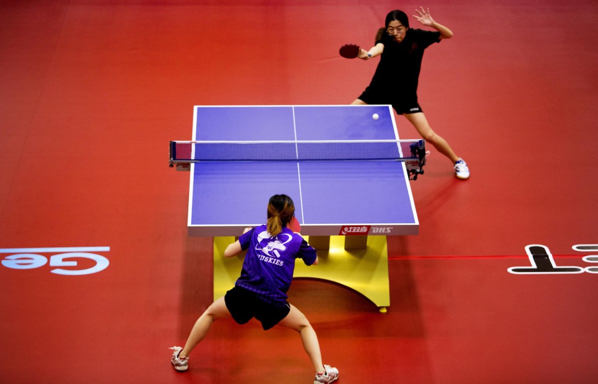 Эльгрей настольный теннис