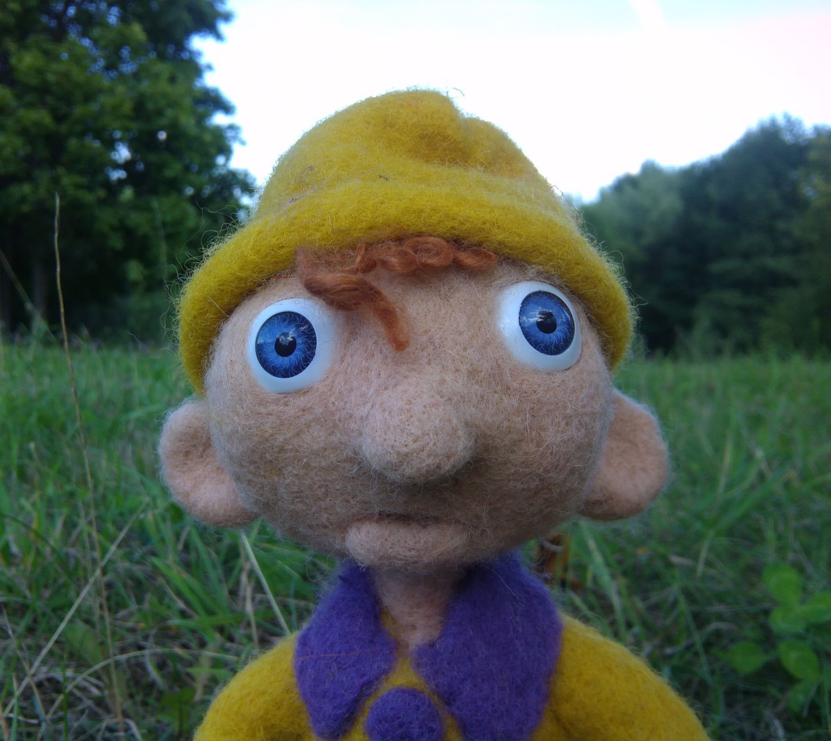 Мультфильм СССР про гномика Васю