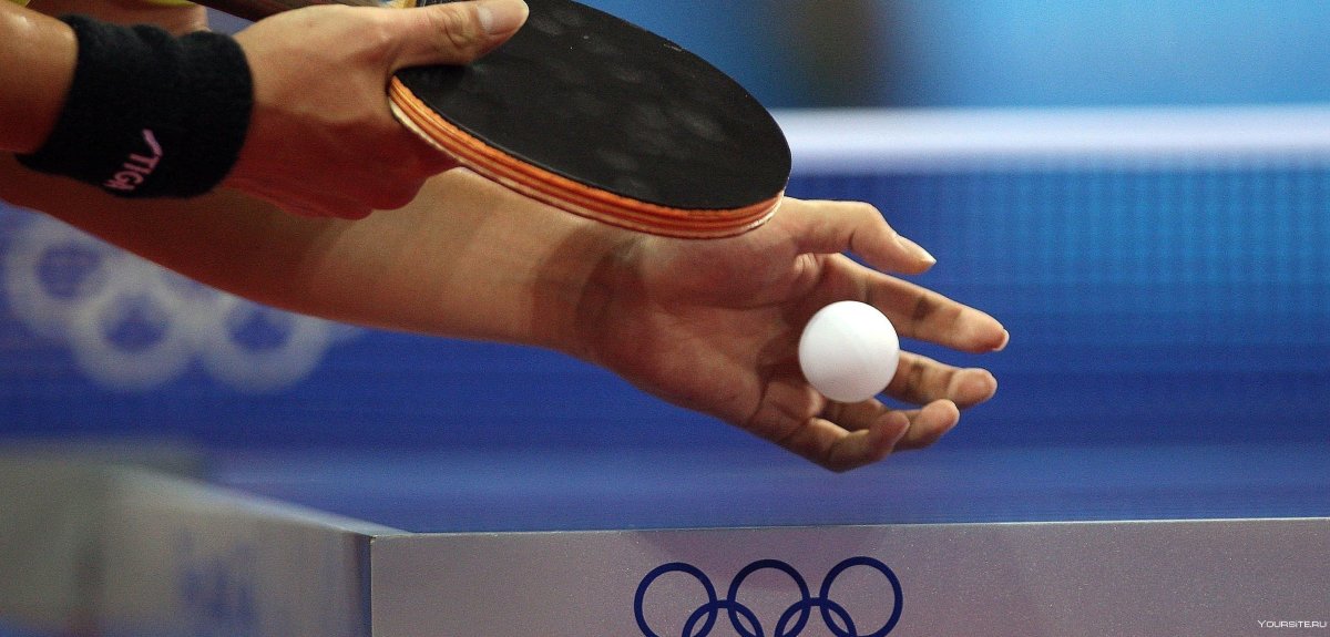 Звезды настольного тенниса