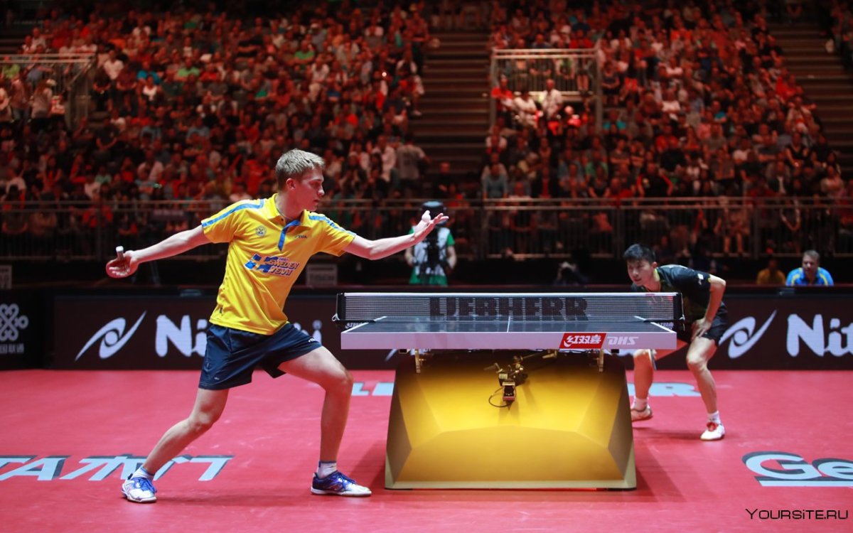 Настольный теннисный мяч на столе