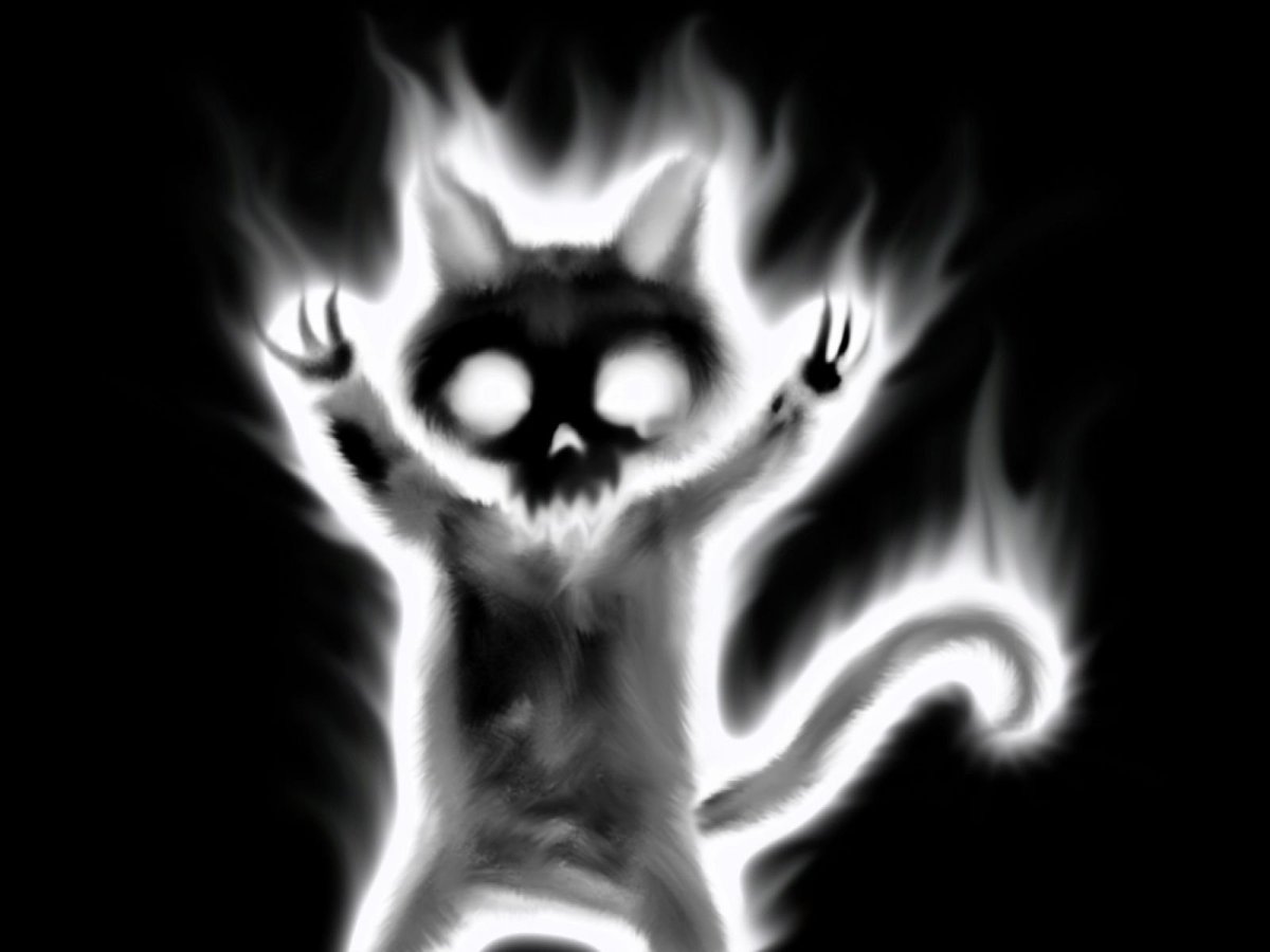 Злой кот демон