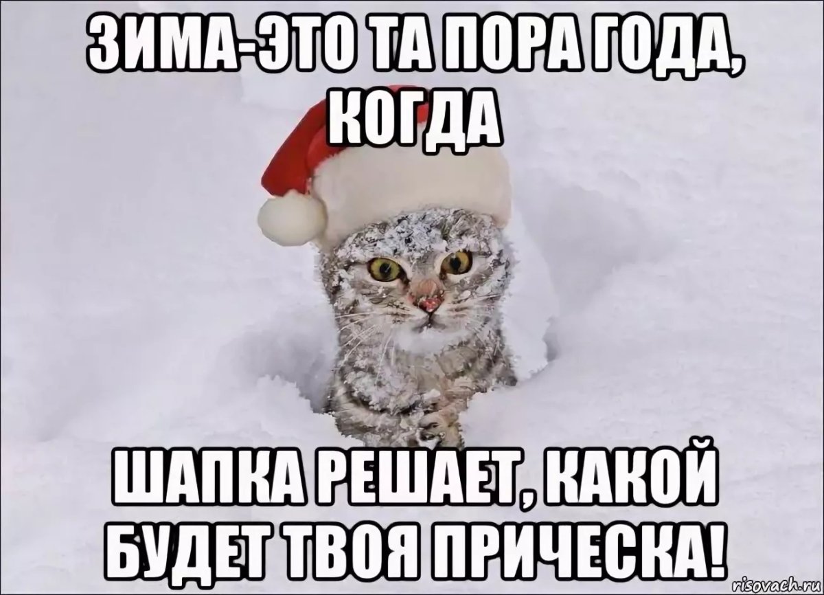 Весна прикольные