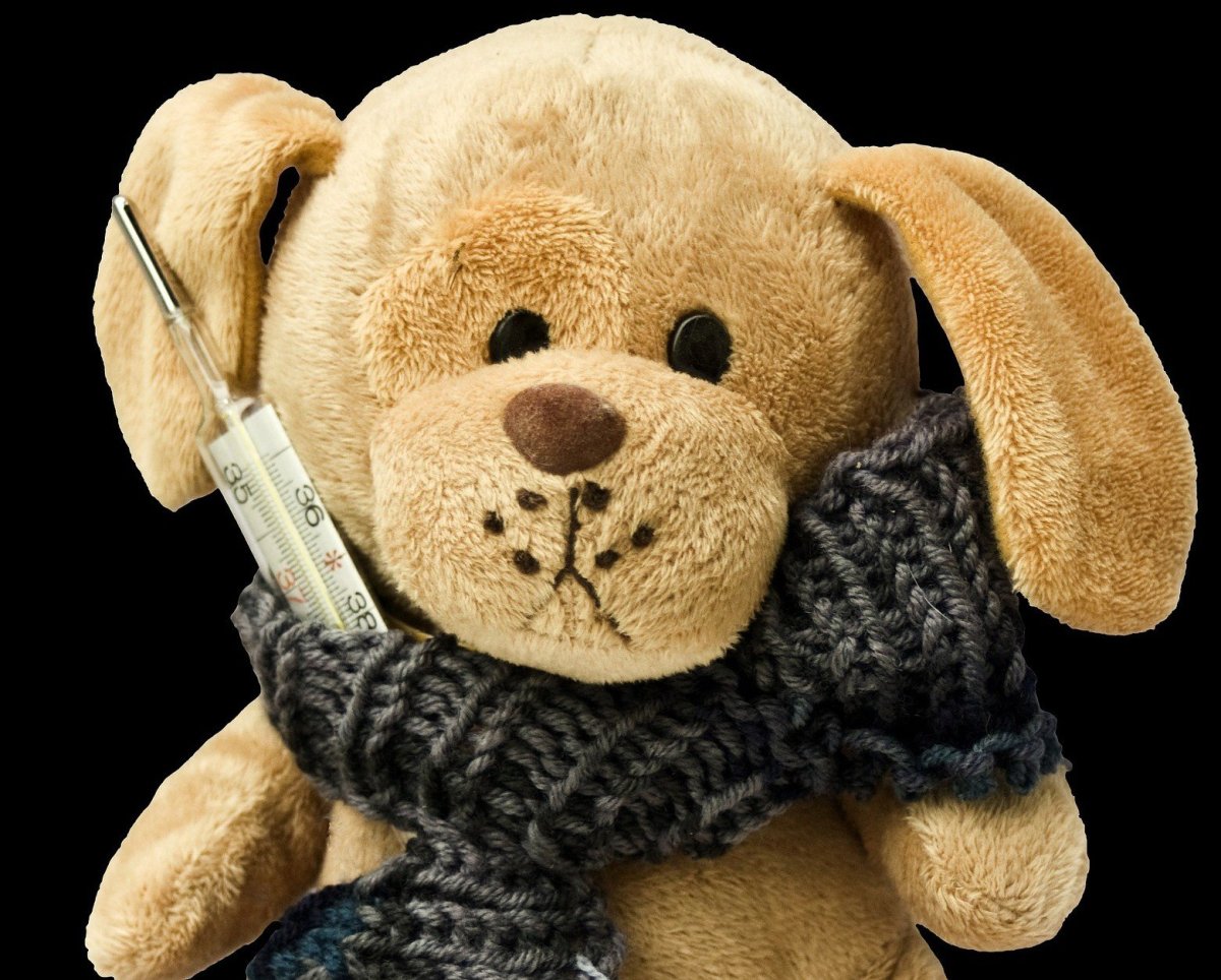 Не болей выздоравливай