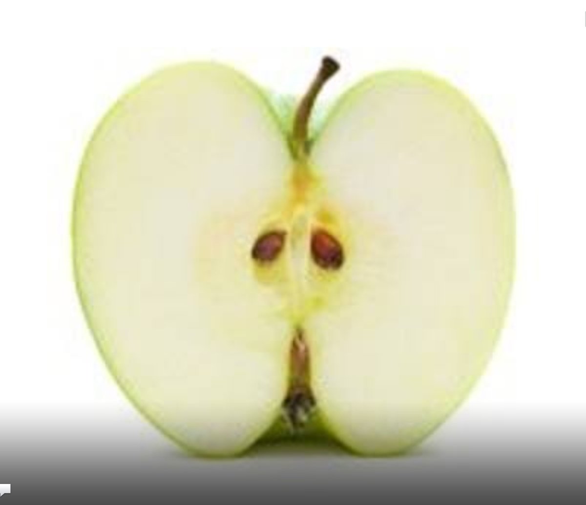 Срез яблока