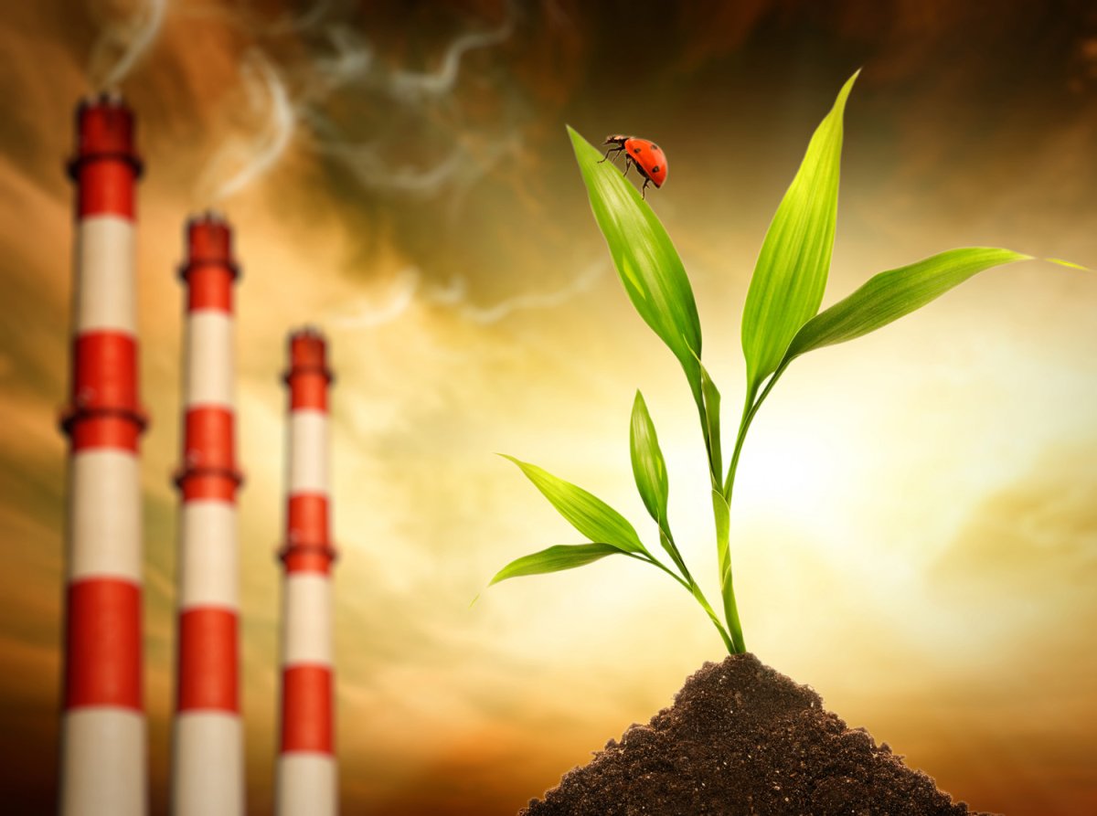 Природа экология