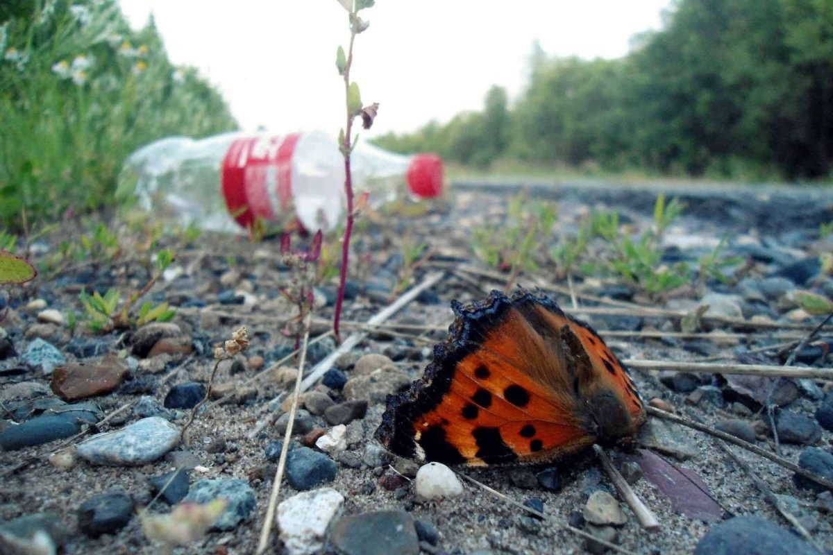 Загрязнение природы для детей