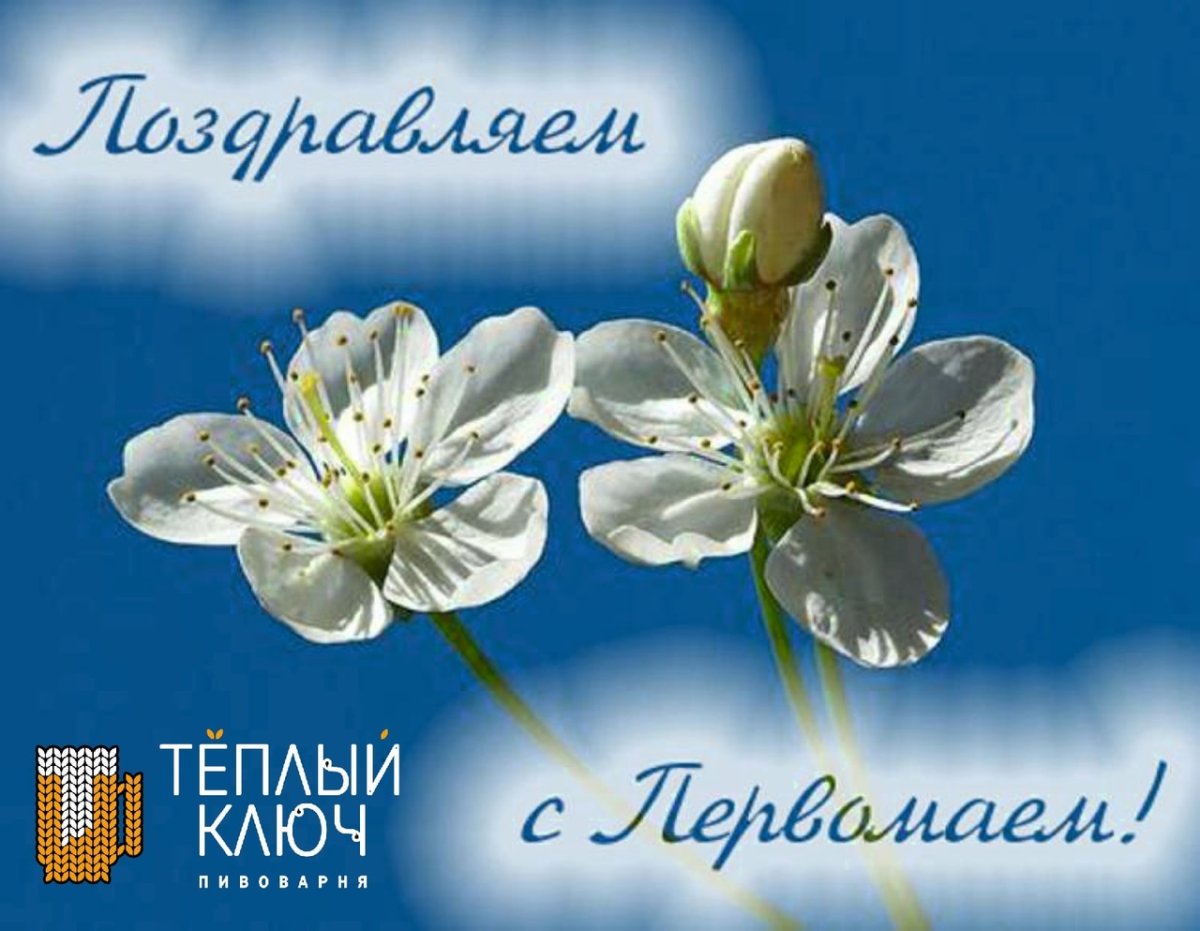 Скоро Весна