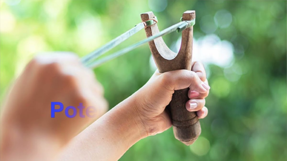 Рогатка логотип