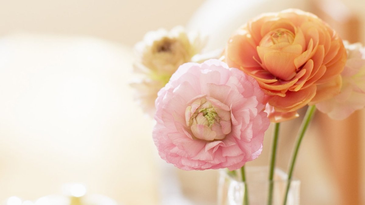 Фотообои нежный букет Тула