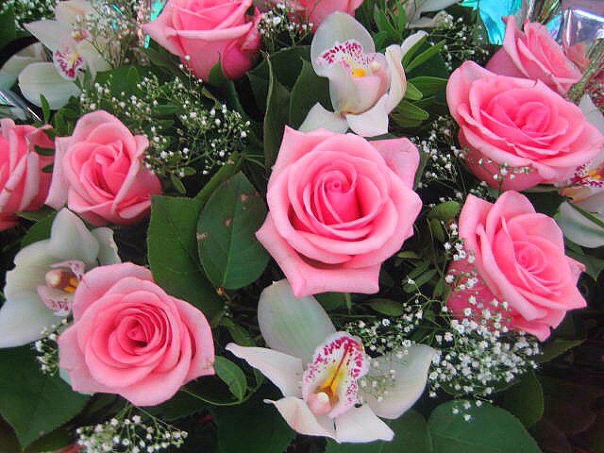 Красивые поздравления с днем рождения