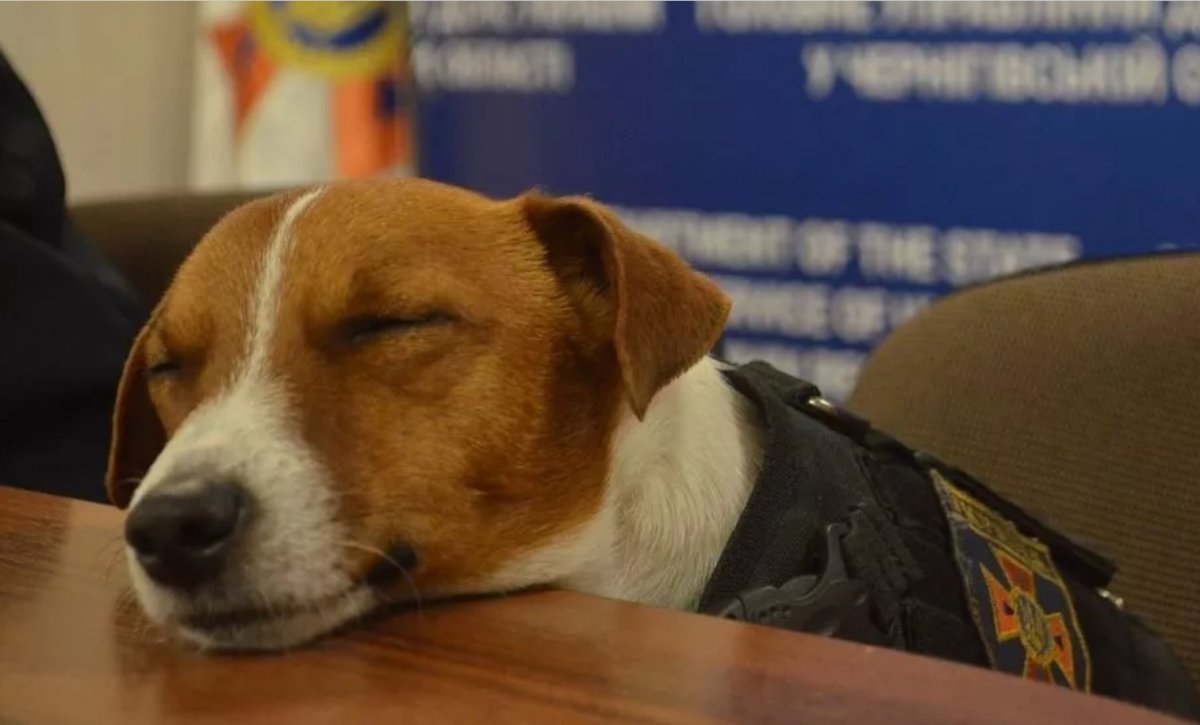 Стикер пак примеры