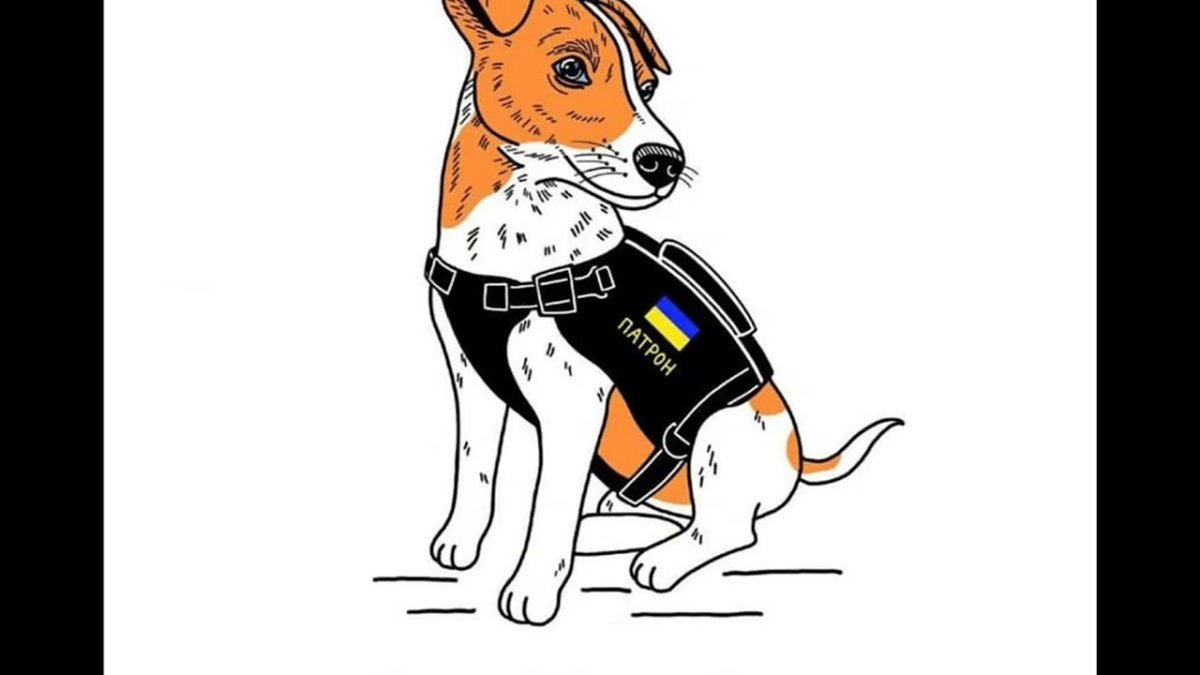 Собака патрон
