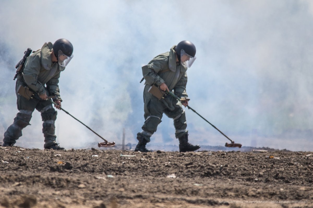 Инженеры саперы Украина