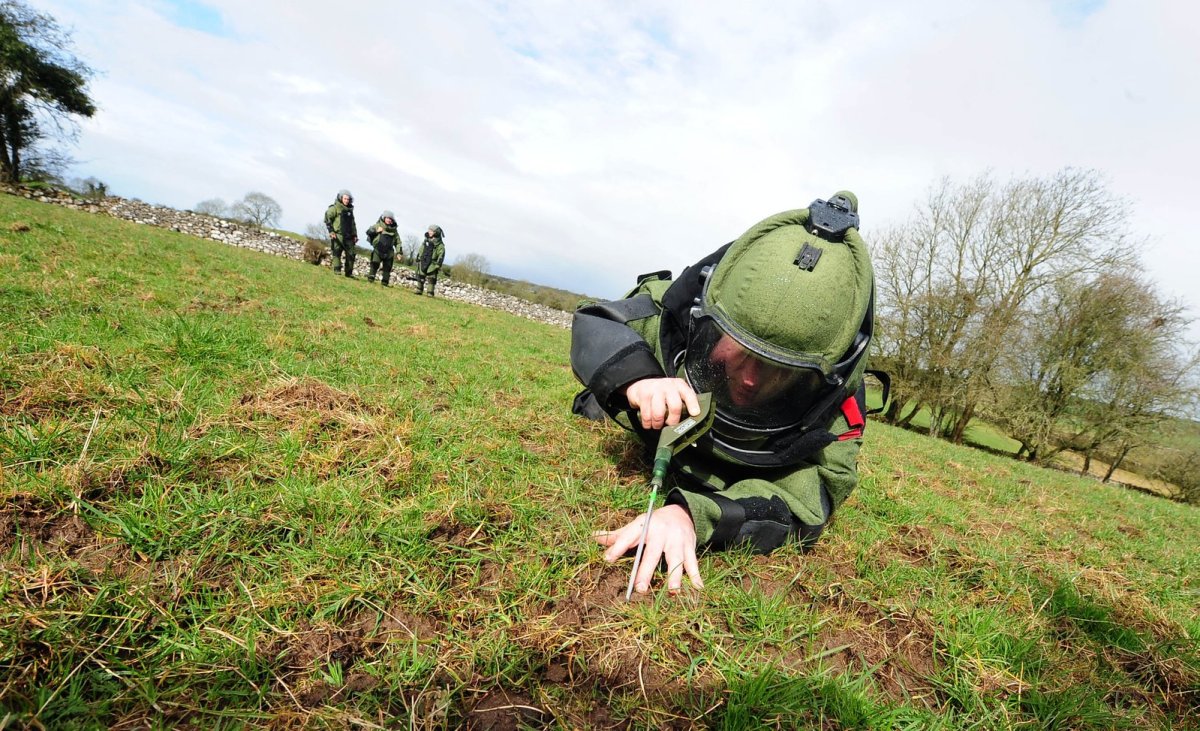 Сапёр профессия