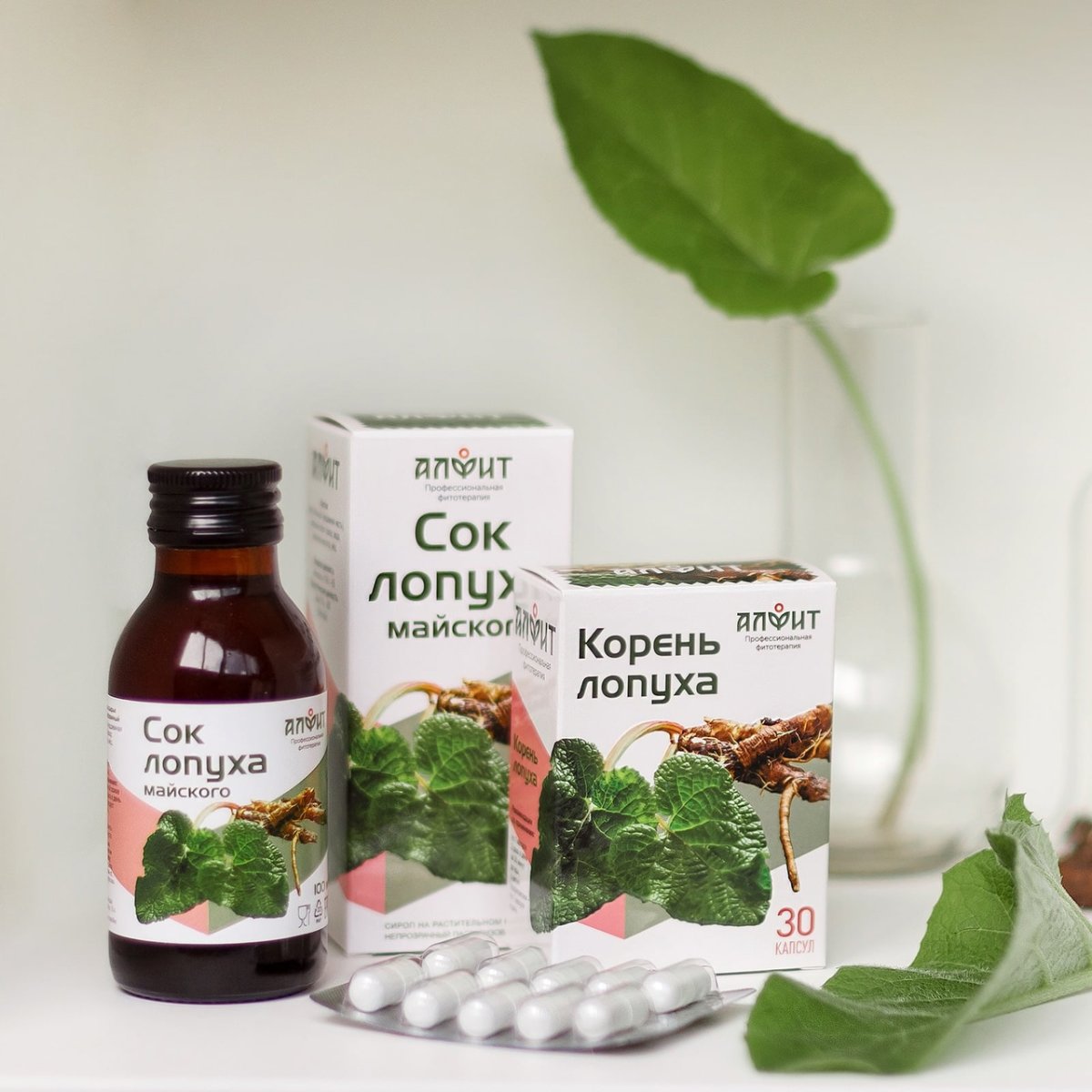 Лопух растение