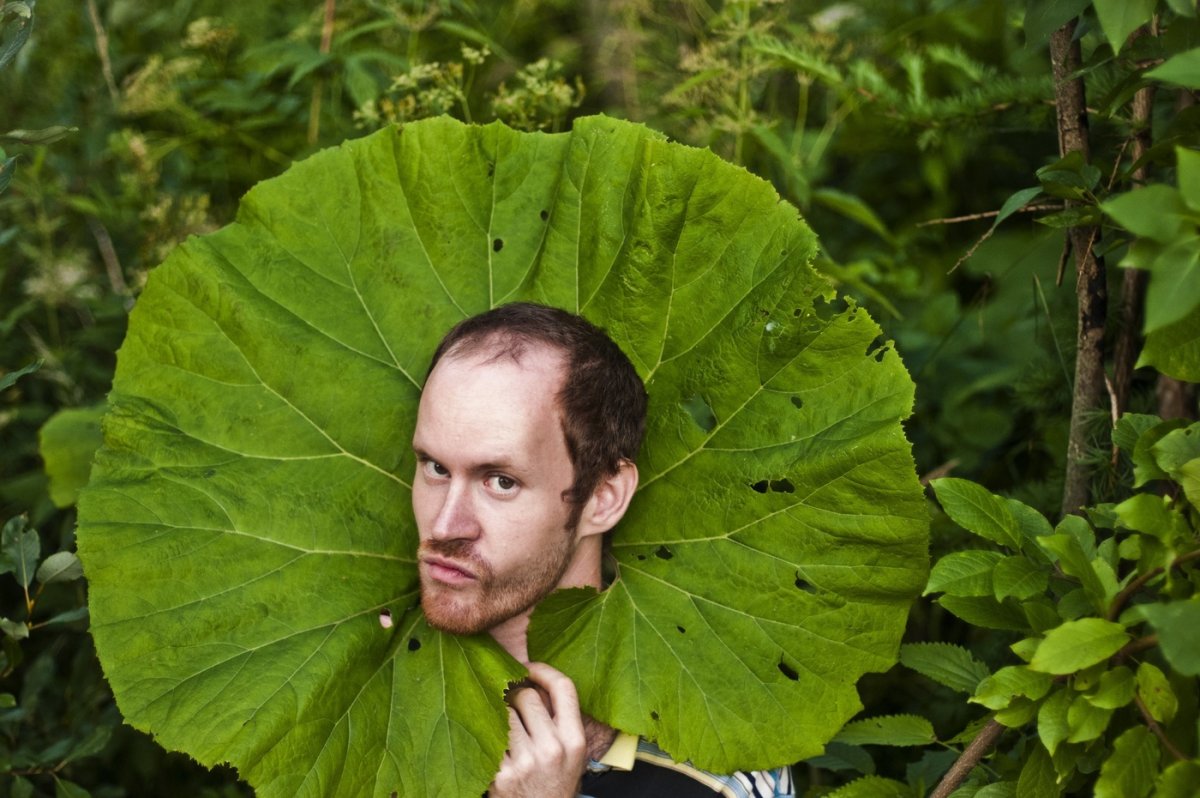 Корень репейника