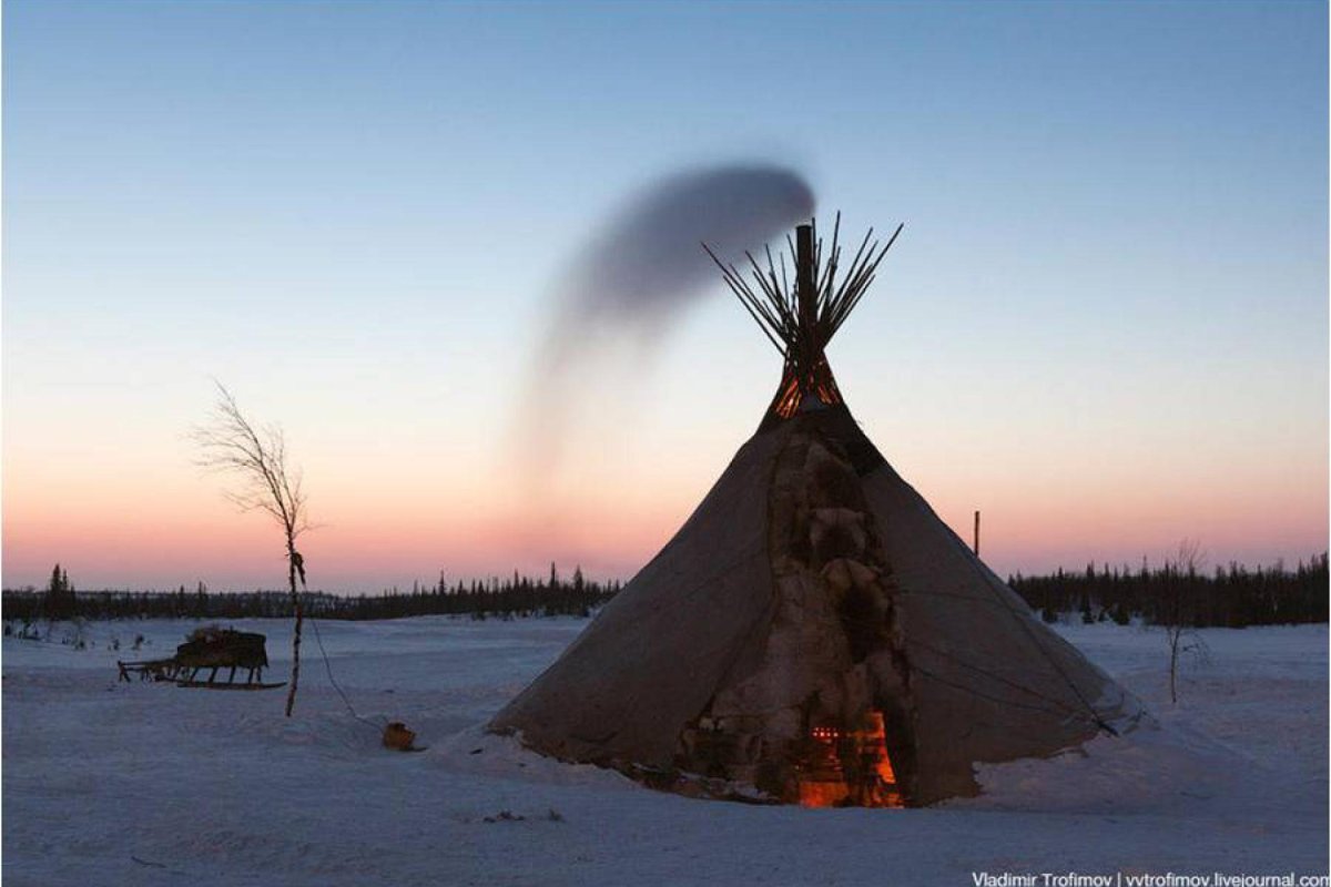 Ненцы Ямало Ненецкий автономный округ