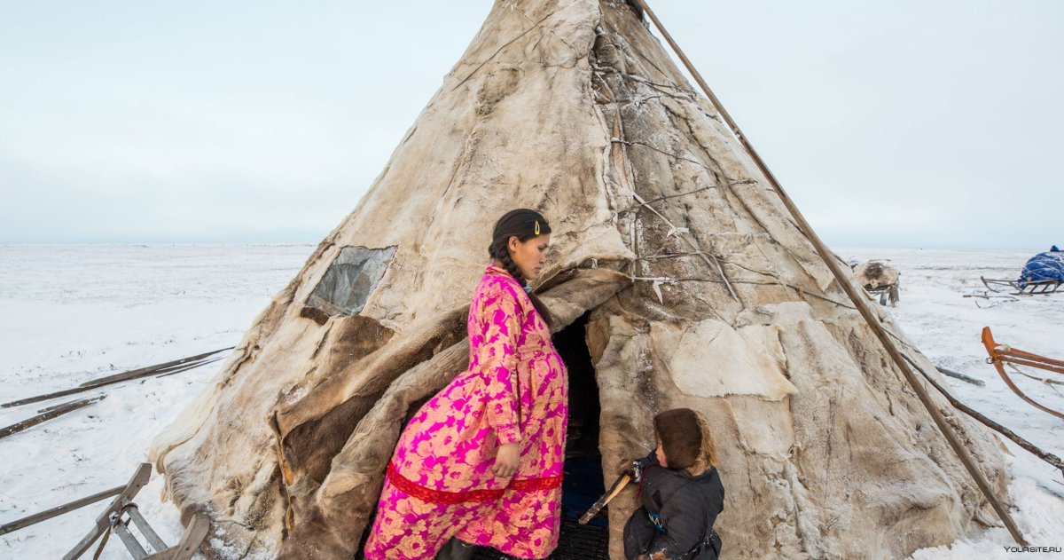 Чум ненцев в тундре